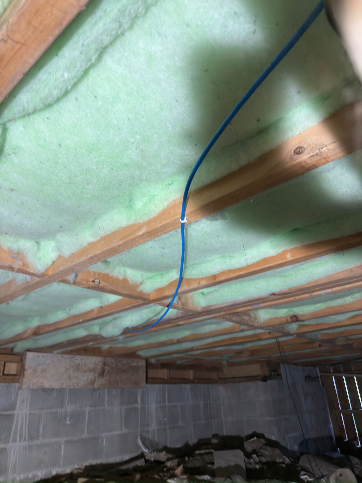 Blue Cat6A cable run through subfloor joists in Tom's Ranui property, secured against the timber and away from electrical
