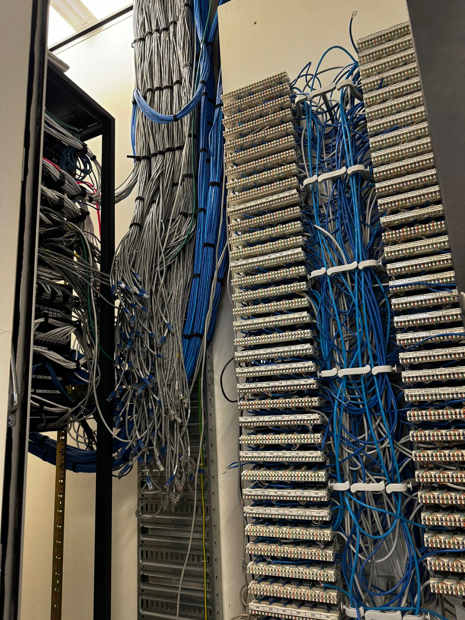 Cat6 install in Auckland home