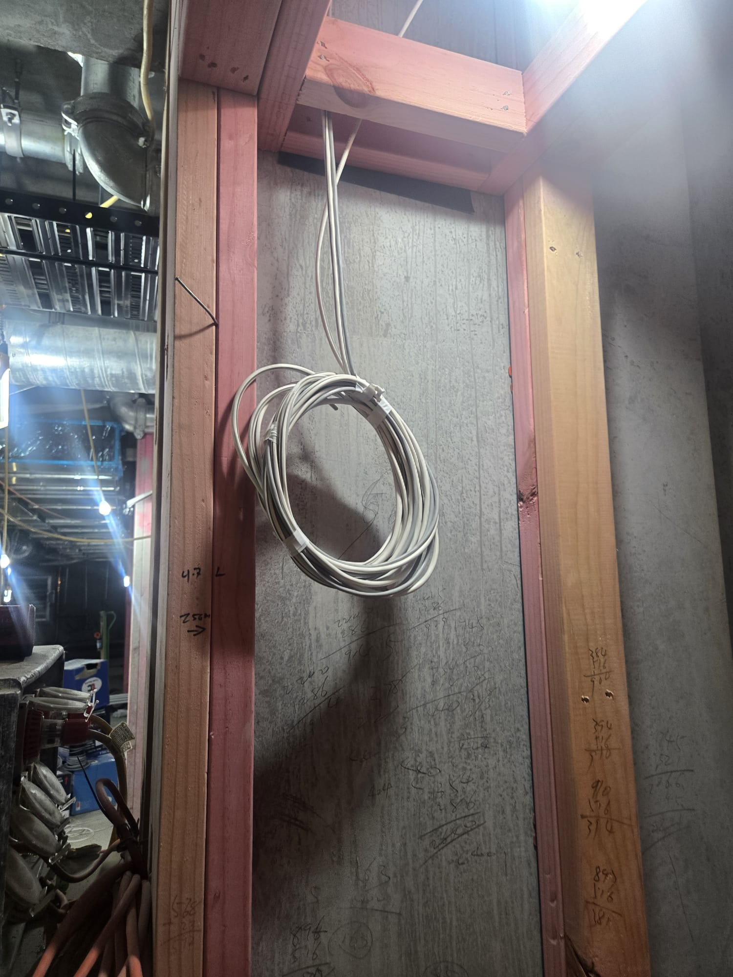 Cat6 and WiFi access point install in Auckland