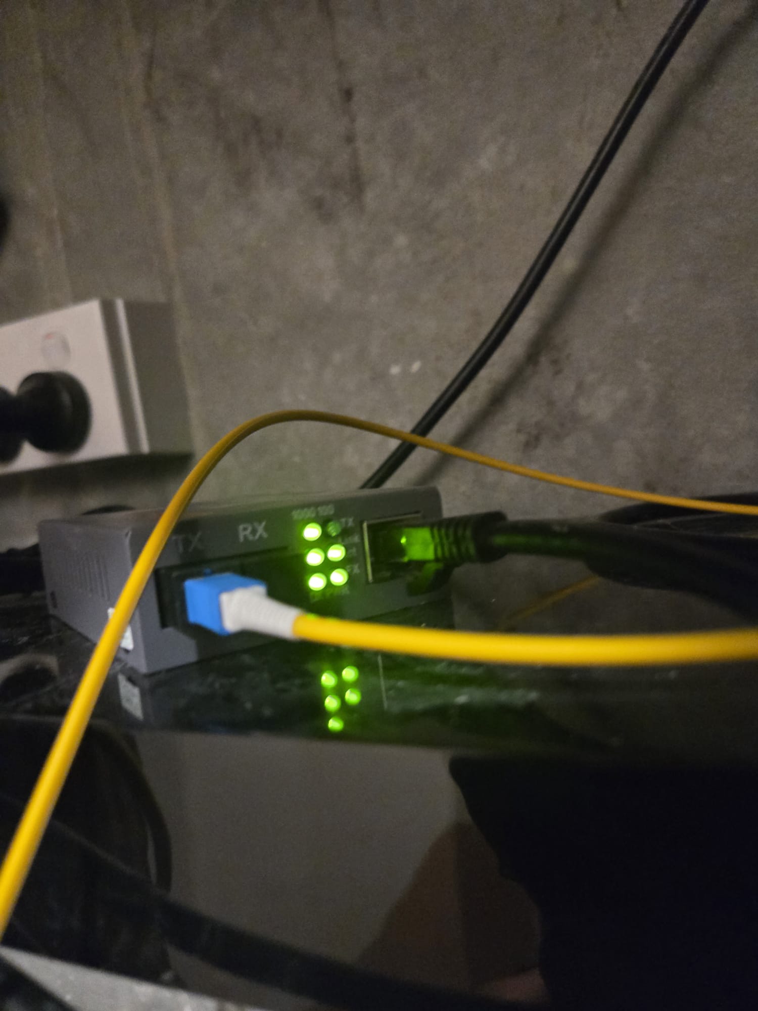 Cat6 and WiFi access point install in Auckland