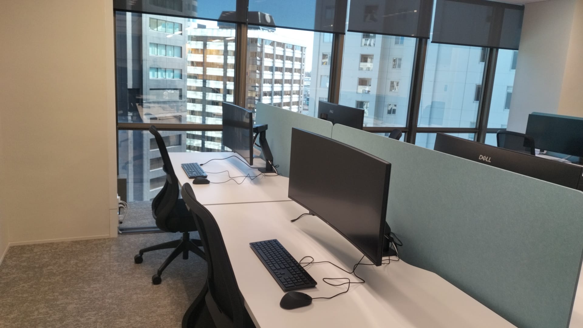 Office desk and monitor installation along the window line in Auckland by Cabling For U